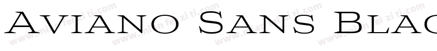 Aviano Sans Black Re字体转换